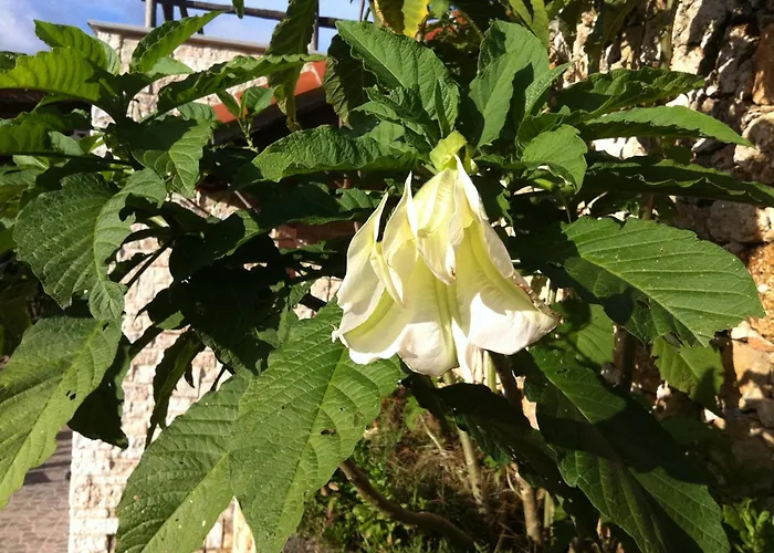 Agriturismo La Rocca Di Perti